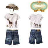 Conjunto completo Safari